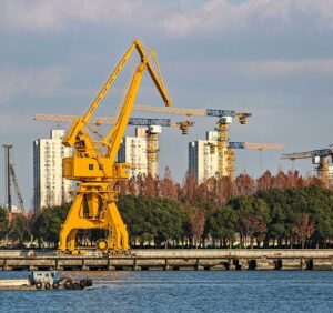 Different Types of Cranes: Their Characteristics and Applications